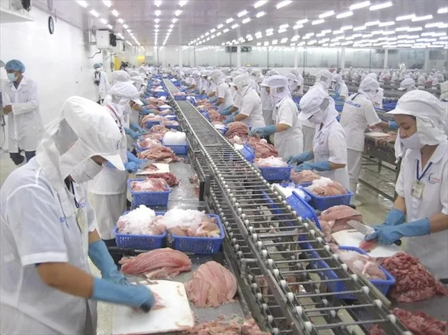 Việt Nam vừa thu 28 tỷ USD nông sản, khách nào 'sộp' nhất?- Ảnh 2. Việt Nam vừa thu 28 tỷ USD nông sản, khách nào 'sộp' nhất?- Ảnh 2.
