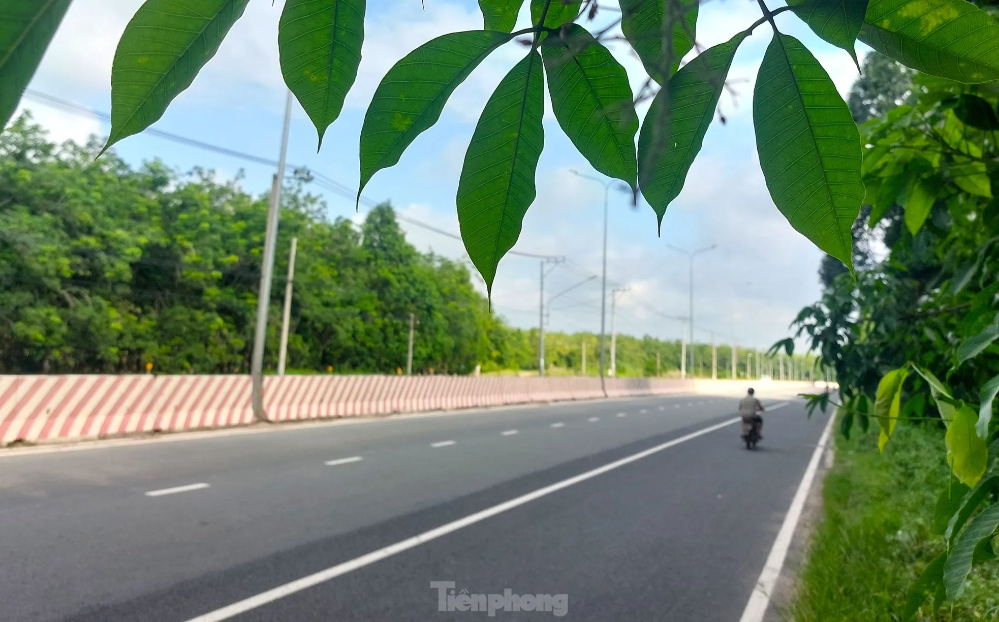 Ngắm tuyến đường băng qua rừng cao su nối Bình Dương với Tây Ninh vừa lên 6 làn- Ảnh 9. Ngắm tuyến đường băng qua rừng cao su nối Bình Dương với Tây Ninh vừa lên 6 làn- Ảnh 9.