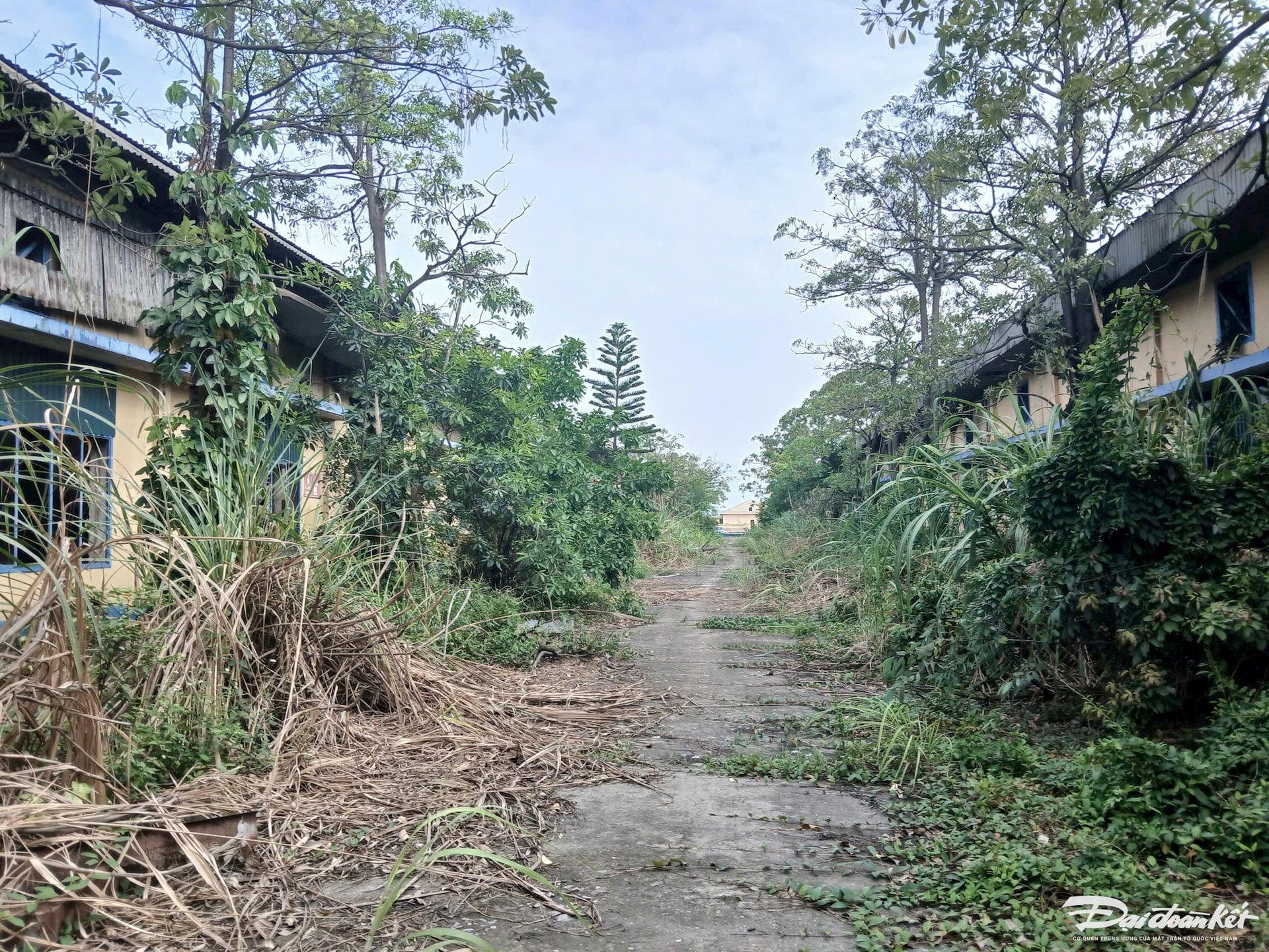 Bên trong nhà máy giày bỏ hoang của Tập đoàn TKV- Ảnh 11. Bên trong nhà máy giày bỏ hoang của Tập đoàn TKV- Ảnh 11.
