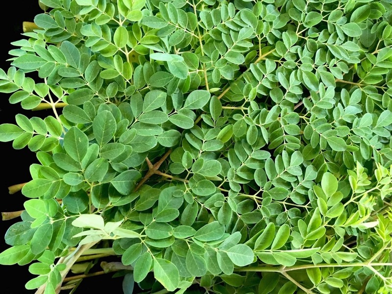 Tưởng trà xanh là số 1 chống oxy hóa, ai ngờ loại lá 30.000đ/kg ở chợ Việt Nam mới là quán quân- Ảnh 1. Tưởng trà xanh là số 1 chống oxy hóa, ai ngờ loại lá 30.000đ/kg ở chợ Việt Nam mới là quán quân- Ảnh 1.