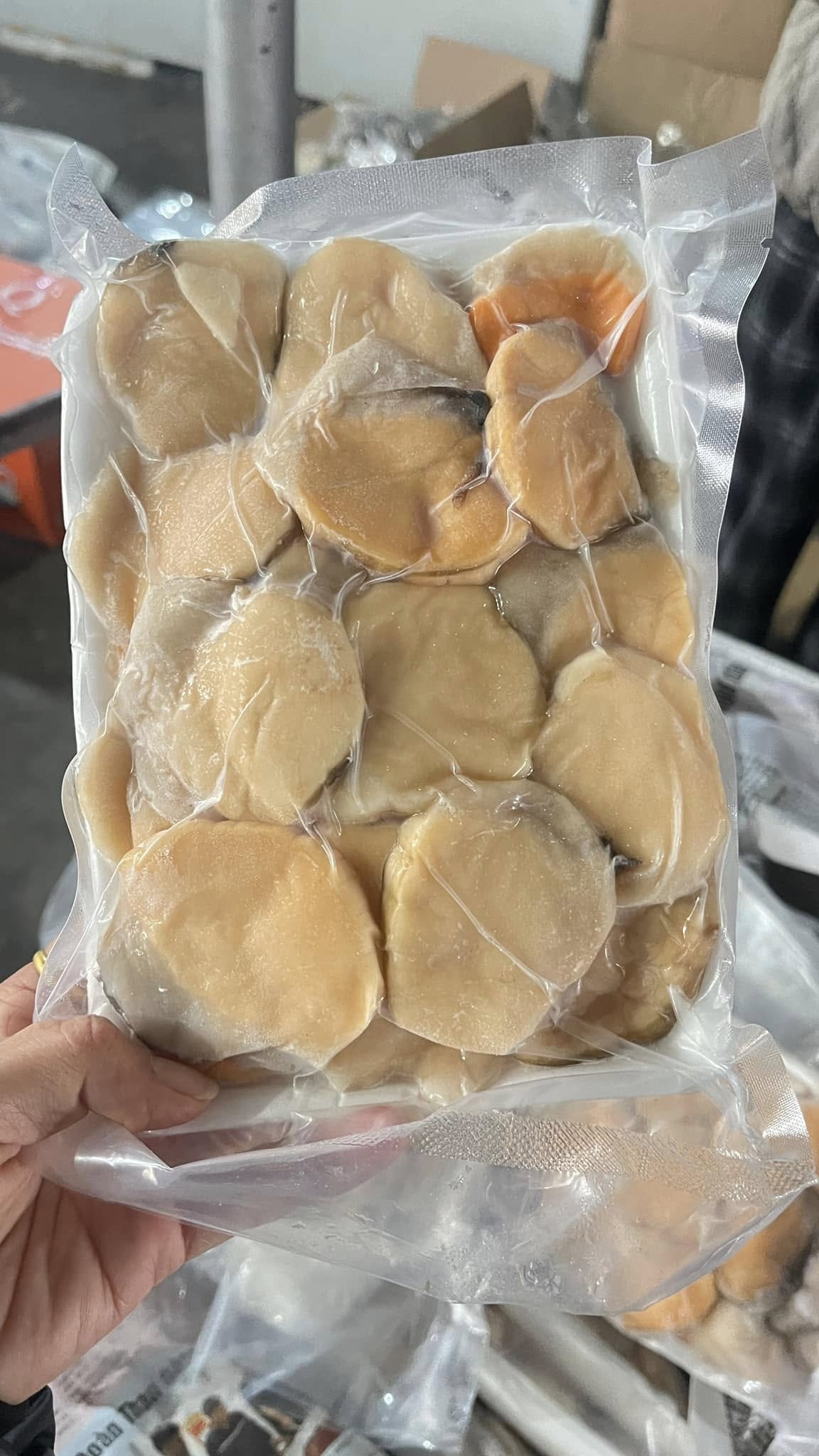 Đến hòn đảo này ai cũng ngơ ngác hỏi Đến hòn đảo này ai cũng ngơ ngác hỏi