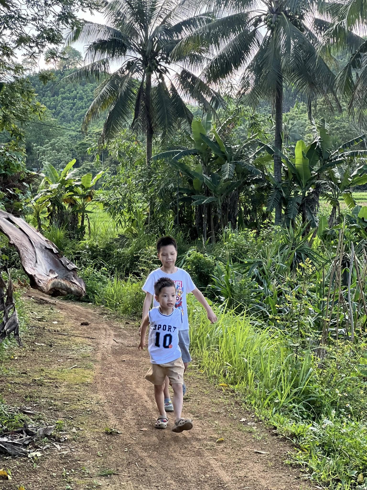 Từng sợ con thua thiệt vì bỏ phố về quê, bà mẹ Thanh Hóa giờ thở phào: "Làm tốt điều này, con ở đâu cũng trưởng thành tử tế"- Ảnh 4. Từng sợ con thua thiệt vì bỏ phố về quê, bà mẹ Thanh Hóa giờ thở phào: "Làm tốt điều này, con ở đâu cũng trưởng thành tử tế"- Ảnh 4.