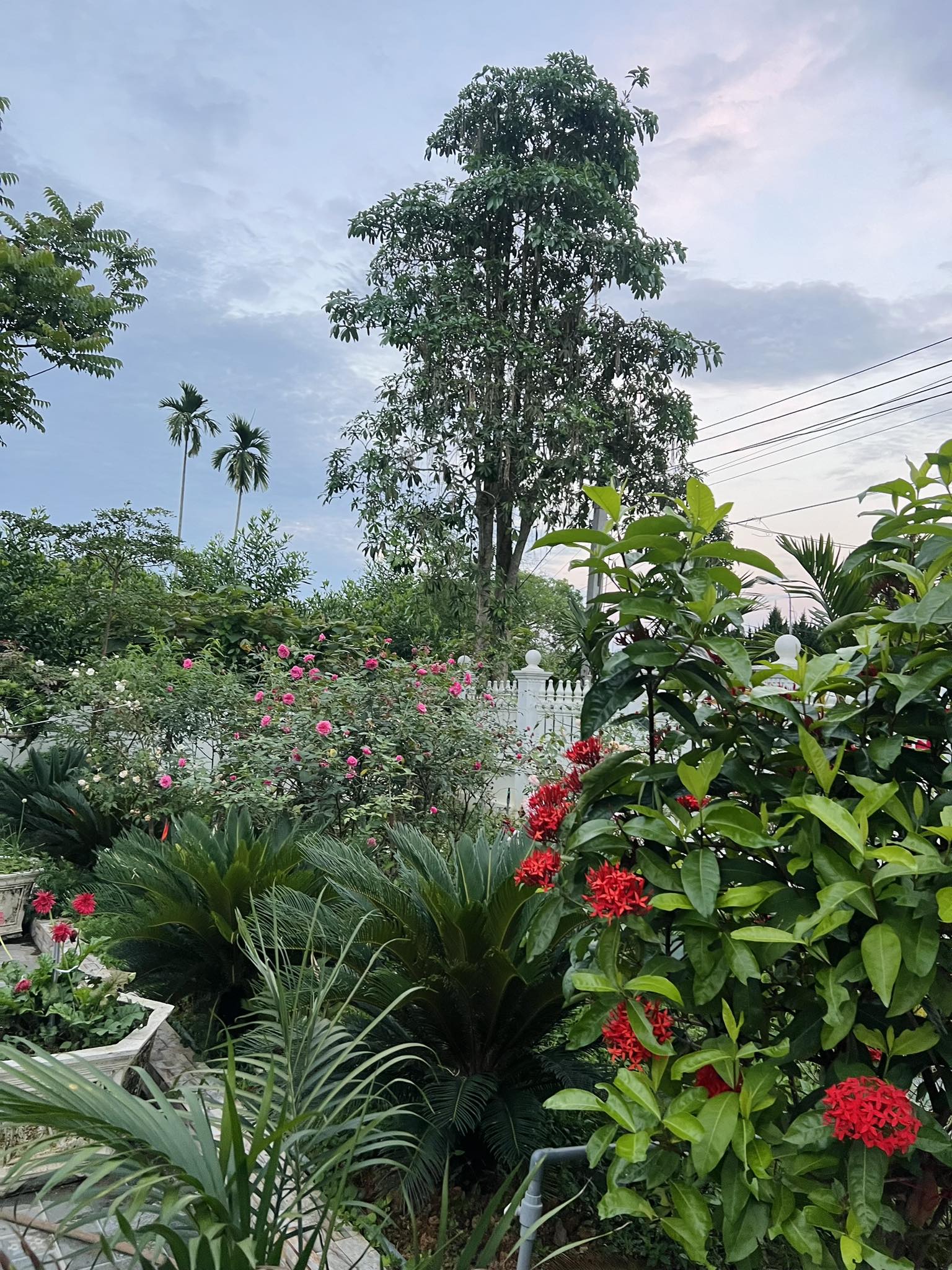 Từng sợ con thua thiệt vì bỏ phố về quê, bà mẹ Thanh Hóa giờ thở phào: "Làm tốt điều này, con ở đâu cũng trưởng thành tử tế"- Ảnh 9. Từng sợ con thua thiệt vì bỏ phố về quê, bà mẹ Thanh Hóa giờ thở phào: "Làm tốt điều này, con ở đâu cũng trưởng thành tử tế"- Ảnh 9.