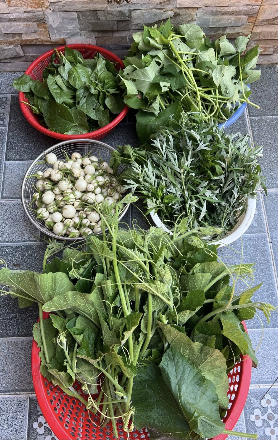 Từng sợ con thua thiệt vì bỏ phố về quê, bà mẹ Thanh Hóa giờ thở phào: "Làm tốt điều này, con ở đâu cũng trưởng thành tử tế"- Ảnh 10. Từng sợ con thua thiệt vì bỏ phố về quê, bà mẹ Thanh Hóa giờ thở phào: "Làm tốt điều này, con ở đâu cũng trưởng thành tử tế"- Ảnh 10.