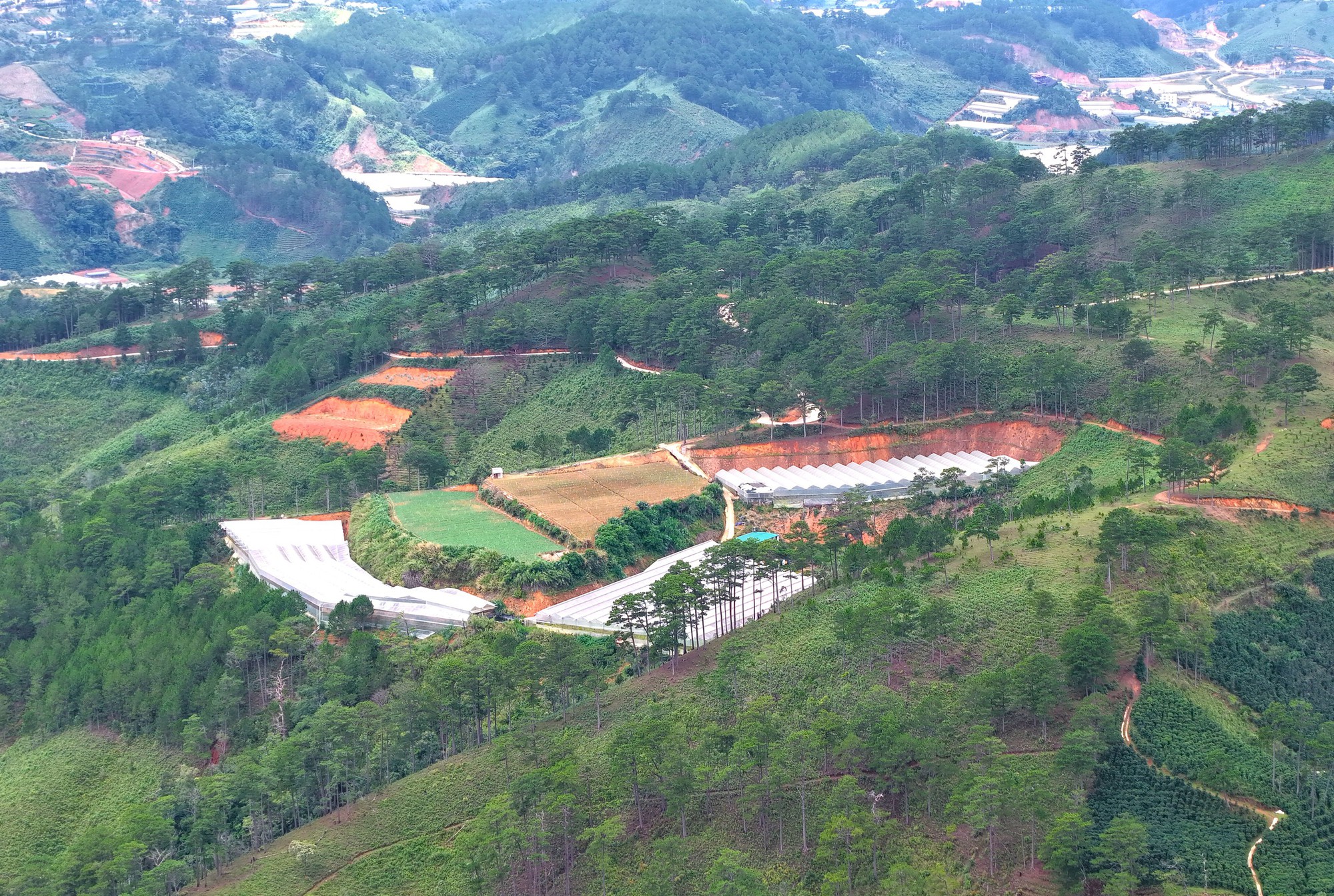 San gạt đất, làm nhà kính lan rộng những đồi thông ở cửa ngõ Đà Lạt- Ảnh 13. San gạt đất, làm nhà kính lan rộng những đồi thông ở cửa ngõ Đà Lạt- Ảnh 13.