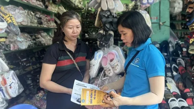 Bắt buộc hộ kinh doanh đóng bảo hiểm xã hội, cao nhất gần 12 triệu/tháng- Ảnh 1. Bắt buộc hộ kinh doanh đóng bảo hiểm xã hội, cao nhất gần 12 triệu/tháng- Ảnh 1.