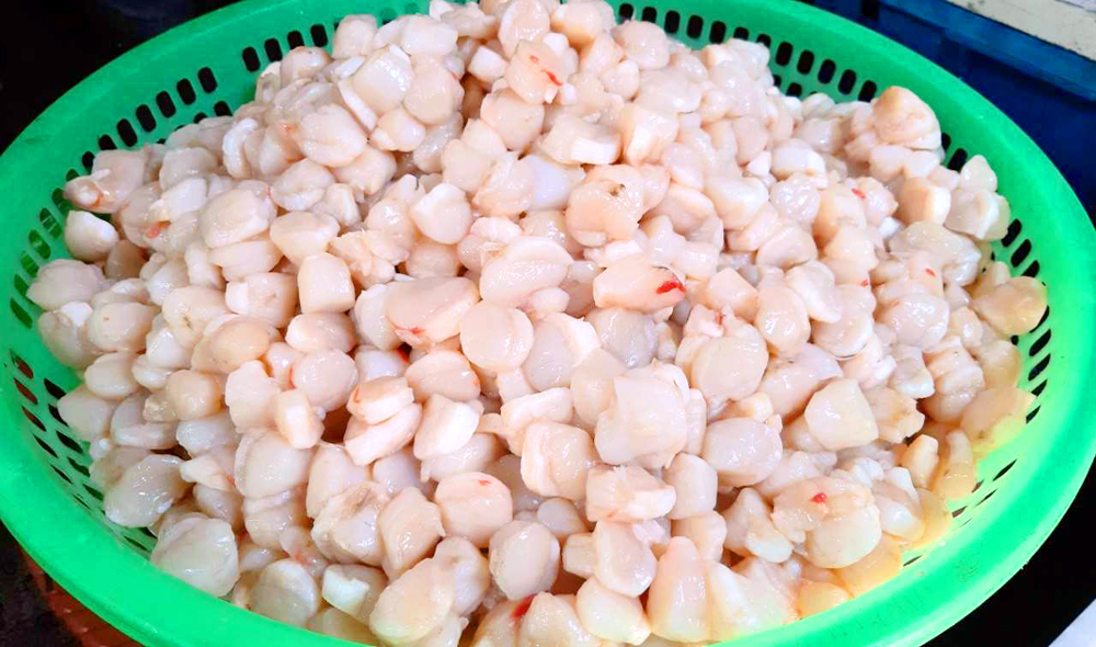 Đến hòn đảo này ai cũng ngơ ngác hỏi Đến hòn đảo này ai cũng ngơ ngác hỏi