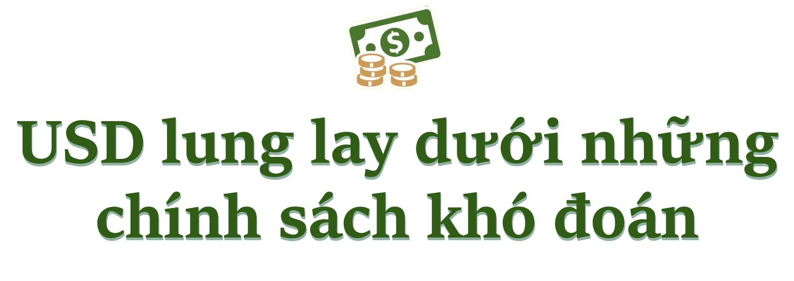 Đồng USD trượt xuống mức thấp nhất 3 năm, ông Trump đang làm lung lay vị thế thống trị toàn cầu của đồng bạc xanh?- Ảnh 7. Đồng USD trượt xuống mức thấp nhất 3 năm, ông Trump đang làm lung lay vị thế thống trị toàn cầu của đồng bạc xanh?- Ảnh 7.