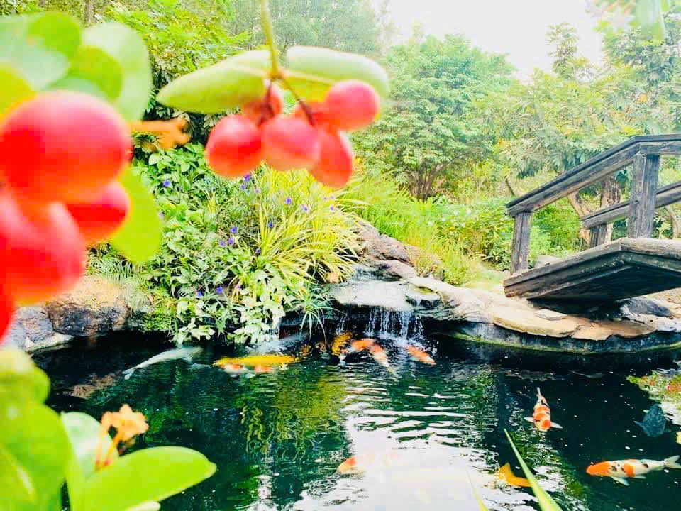 Nam nghệ sĩ rao bán biệt phủ 100 tỷ ở Đồng Nai- Ảnh 6. Nam nghệ sĩ rao bán biệt phủ 100 tỷ ở Đồng Nai- Ảnh 6.