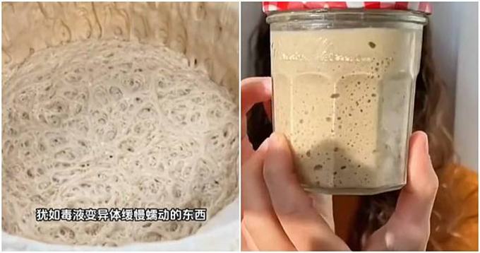 Lười nhưng thích 'chữa lành', giới trẻ Trung Quốc nuôi nấm men làm thú cưng- Ảnh 1. Lười nhưng thích 'chữa lành', giới trẻ Trung Quốc nuôi nấm men làm thú cưng- Ảnh 1.