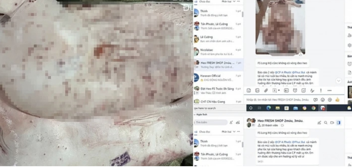 Chủ tịch UBND tỉnh Hậu Giang chỉ đạo "nóng" sau vụ C.P. Việt Nam bị "tố" bán thịt heo bệnh- Ảnh 1. Chủ tịch UBND tỉnh Hậu Giang chỉ đạo "nóng" sau vụ C.P. Việt Nam bị "tố" bán thịt heo bệnh- Ảnh 1.