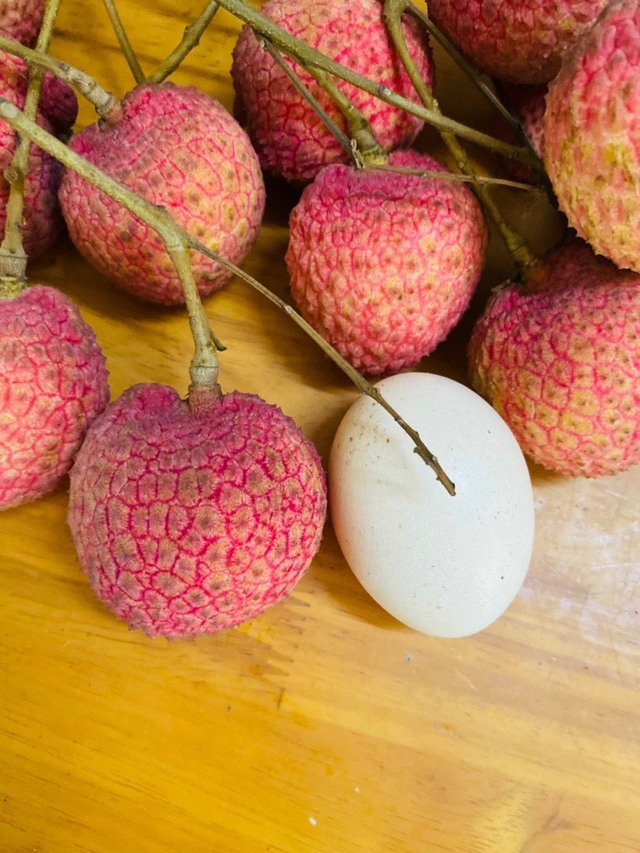 Loại vải hơn 10.000đ/quả, to bằng trứng gà: Người ăn nhận xét "Chưa bao giờ ăn vải nào ngon thế này"- Ảnh 1. Loại vải hơn 10.000đ/quả, to bằng trứng gà: Người ăn nhận xét "Chưa bao giờ ăn vải nào ngon thế này"- Ảnh 1.