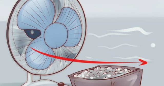 Đặt chậu nước, chậu đá trước quạt có làm mát nhà hơn không? Câu trả lời của chuyên gia gây bất ngờ- Ảnh 3. Đặt chậu nước, chậu đá trước quạt có làm mát nhà hơn không? Câu trả lời của chuyên gia gây bất ngờ- Ảnh 3.