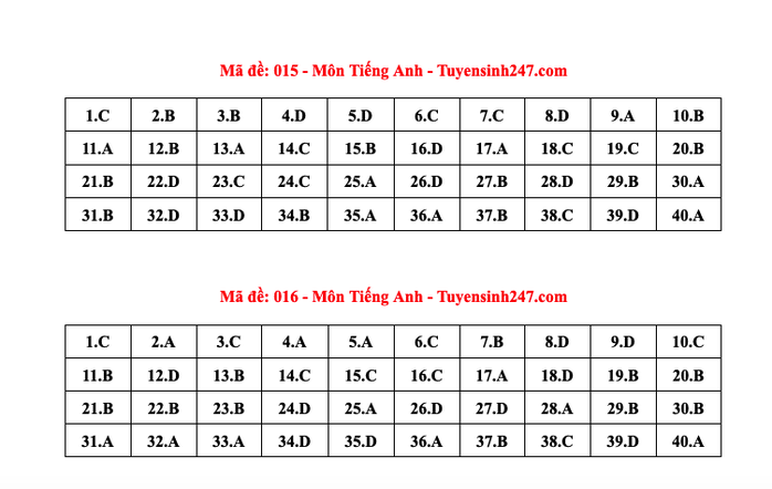 Thi lớp 10 Hà Nội: Đáp án môn tiếng Anh- Ảnh 13. Thi lớp 10 Hà Nội: Đáp án môn tiếng Anh- Ảnh 13.