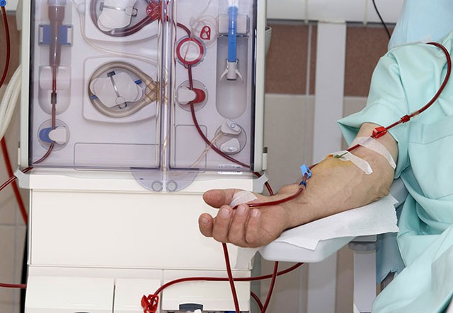 “Suy thận” trở thành từ khóa nóng sau trường hợp nữ diễn viên Ngân Hòa: Căn bệnh đang trẻ hóa đáng báo động- Ảnh 3. “Suy thận” trở thành từ khóa nóng sau trường hợp nữ diễn viên Ngân Hòa: Căn bệnh đang trẻ hóa đáng báo động- Ảnh 3.