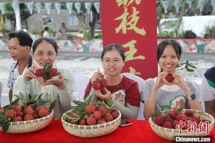 Quả vải to bằng quả trứng gà được bán với giá gần 250 triệu đồng: Nông dân vui mừng, cả vùng trồng được hưởng lợi nhờ lợi thế độc đáo- Ảnh 4.