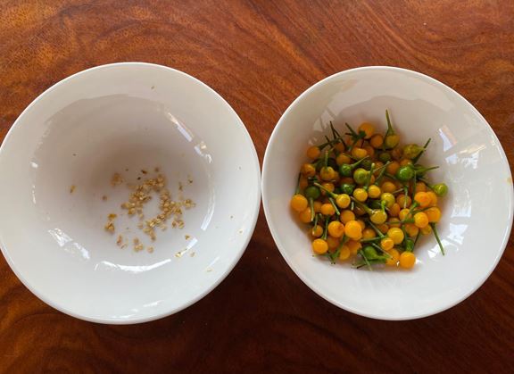 Loại quả đắt đỏ bậc nhất thế giới, giá tới 600 triệu đồng/kg, ở Việt Nam có người đem tặng miễn phí- Ảnh 5. Loại quả đắt đỏ bậc nhất thế giới, giá tới 600 triệu đồng/kg, ở Việt Nam có người đem tặng miễn phí- Ảnh 5.