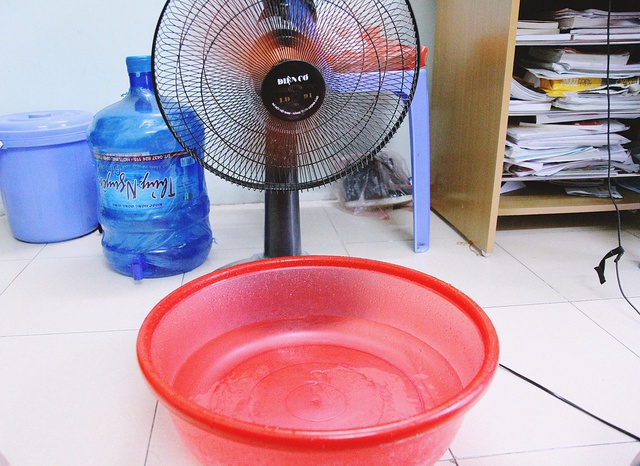 Đặt chậu nước, chậu đá trước quạt có làm mát nhà hơn không? Câu trả lời của chuyên gia gây bất ngờ- Ảnh 1. Đặt chậu nước, chậu đá trước quạt có làm mát nhà hơn không? Câu trả lời của chuyên gia gây bất ngờ- Ảnh 1.
