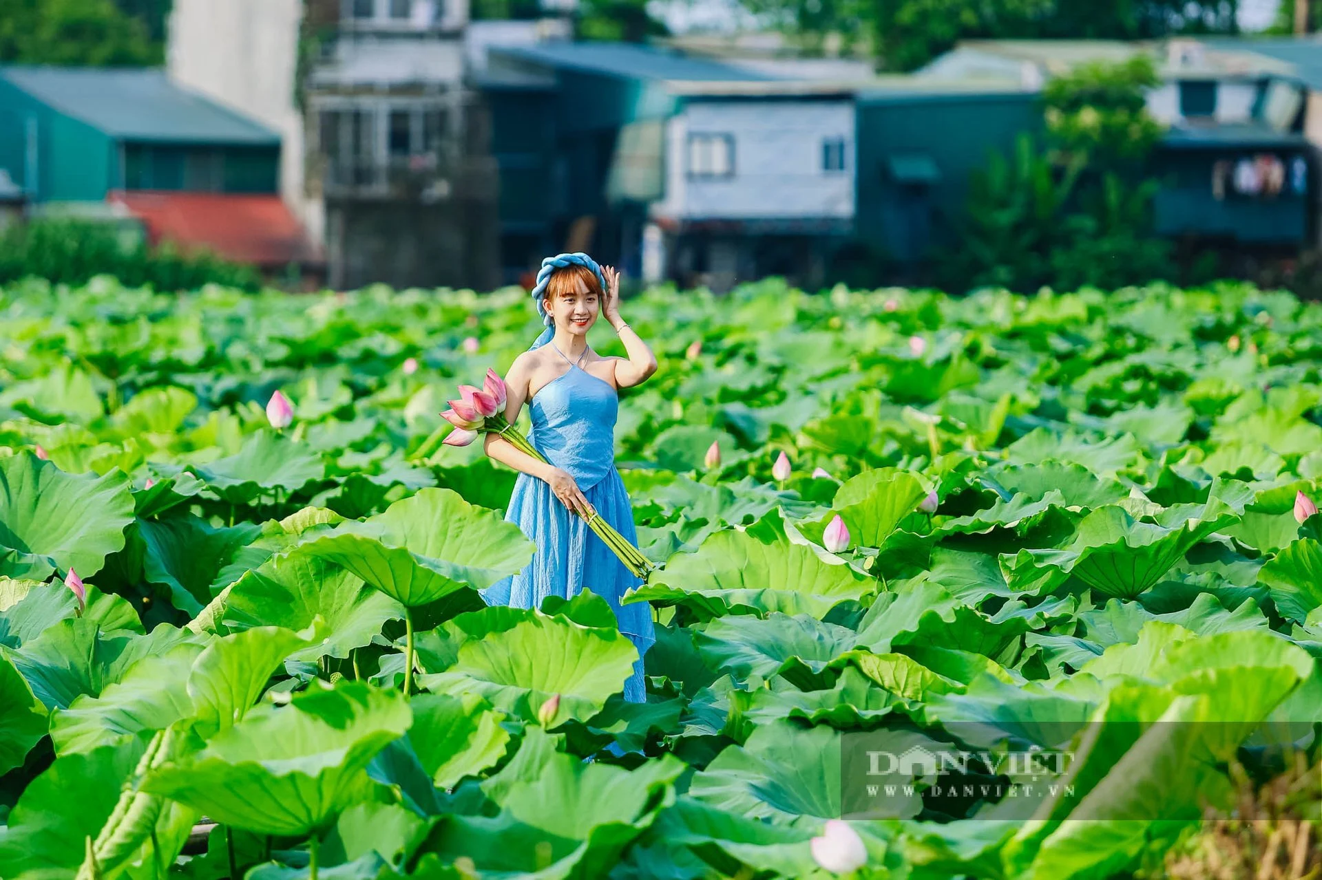 Những đầm sen đẹp nức tiếng quanh Hà Nội khiến hội sống ảo "lịm tim": Chị em sửa soạn lên đồ check-in ngay kẻo lỡ!- Ảnh 19.