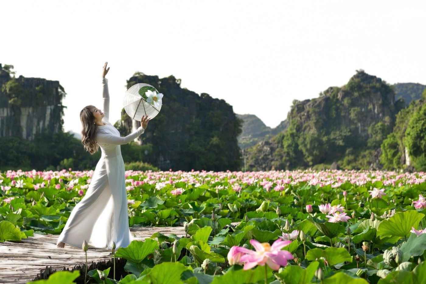 Những đầm sen đẹp nức tiếng quanh Hà Nội khiến hội sống ảo "lịm tim": Chị em sửa soạn lên đồ check-in ngay kẻo lỡ!- Ảnh 23.