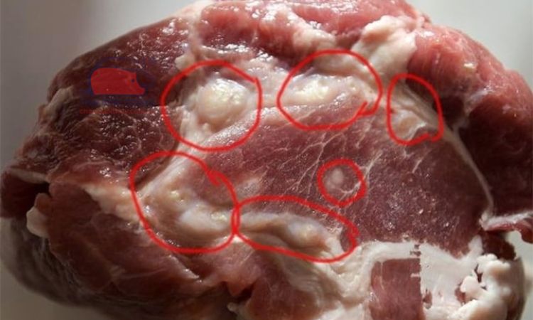 Đi chợ mà không biết 6 mẹo này thì đừng trách sao thịt mua về nấu lên lại dai và hôi- Ảnh 4.