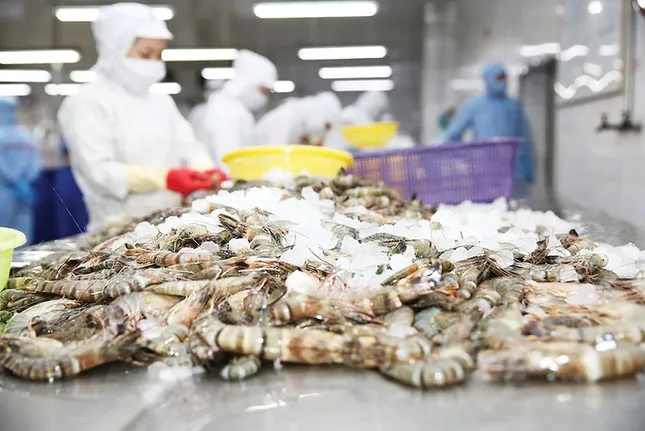 Bất ngờ về thủy sản Việt Nam xuất khẩu- Ảnh 1. Bất ngờ về thủy sản Việt Nam xuất khẩu- Ảnh 1.