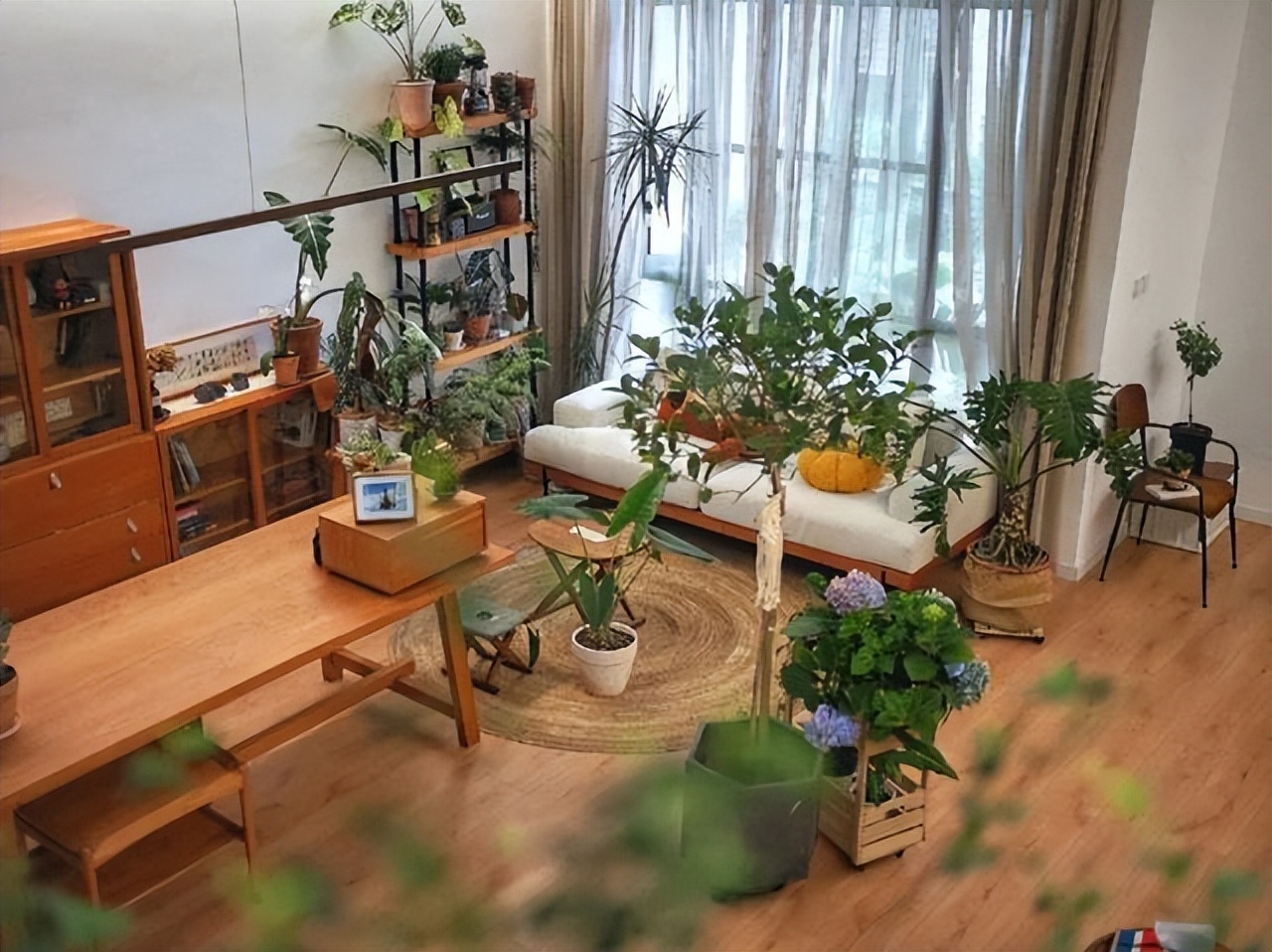 Mẹ đơn thân tuổi 50 sống cùng con trong biệt thự 300m²: Mẹ đơn thân tuổi 50 sống cùng con trong biệt thự 300m²: