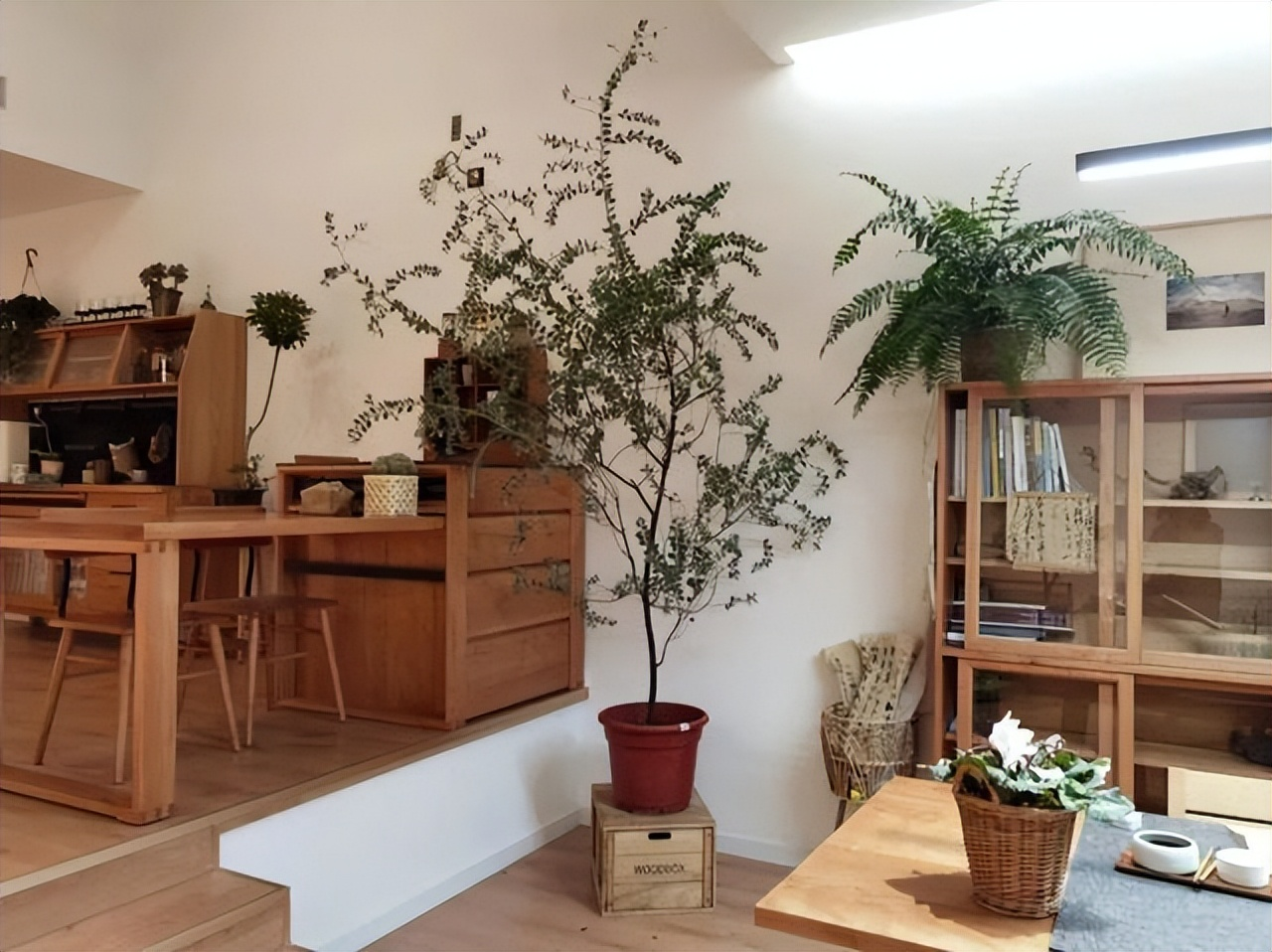 Mẹ đơn thân tuổi 50 sống cùng con trong biệt thự 300m²: Mẹ đơn thân tuổi 50 sống cùng con trong biệt thự 300m²: