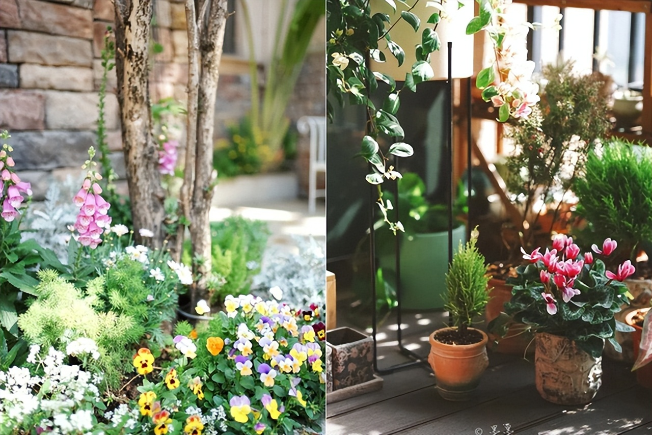 Mẹ đơn thân tuổi 50 sống cùng con trong biệt thự 300m²: Mẹ đơn thân tuổi 50 sống cùng con trong biệt thự 300m²: