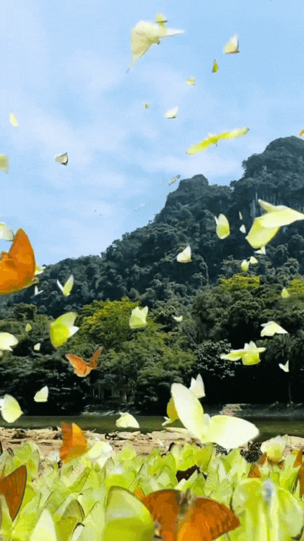 Trải nghiệm thế giới "Ghibli đời thực" ngay gần Hà Nội: Nơi này đang chờ bạn với những cánh rừng đậm chất cổ tích và một nhịp sống đủ chậm để nhớ cả đời!- Ảnh 2. Trải nghiệm thế giới "Ghibli đời thực" ngay gần Hà Nội: Nơi này đang chờ bạn với những cánh rừng đậm chất cổ tích và một nhịp sống đủ chậm để nhớ cả đời!- Ảnh 2.