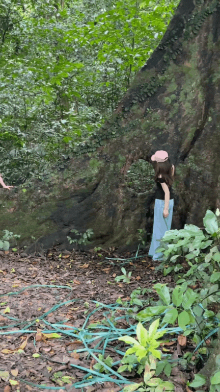 Trải nghiệm thế giới "Ghibli đời thực" ngay gần Hà Nội: Nơi này đang chờ bạn với những cánh rừng đậm chất cổ tích và một nhịp sống đủ chậm để nhớ cả đời!- Ảnh 7. Trải nghiệm thế giới "Ghibli đời thực" ngay gần Hà Nội: Nơi này đang chờ bạn với những cánh rừng đậm chất cổ tích và một nhịp sống đủ chậm để nhớ cả đời!- Ảnh 7.
