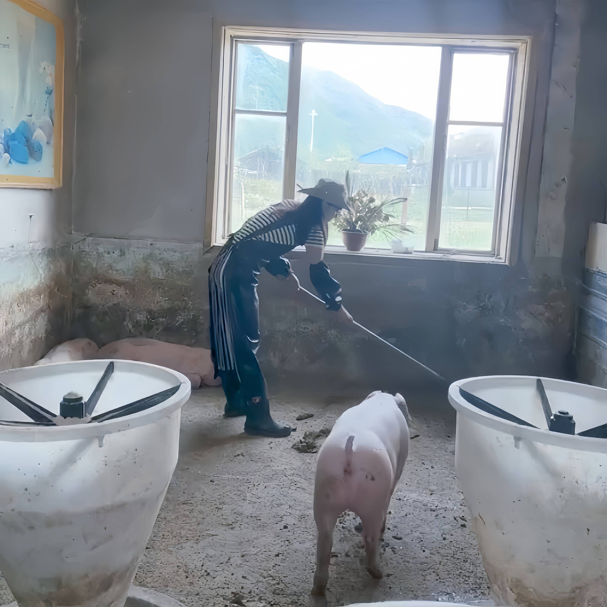 Tiếp viên hàng không nghỉ việc để làm một việc “nghe thôi đã thấy sợ”: Kiếm hơn 700 triệu trong 2 tháng- Ảnh 5. Tiếp viên hàng không nghỉ việc để làm một việc “nghe thôi đã thấy sợ”: Kiếm hơn 700 triệu trong 2 tháng- Ảnh 5.