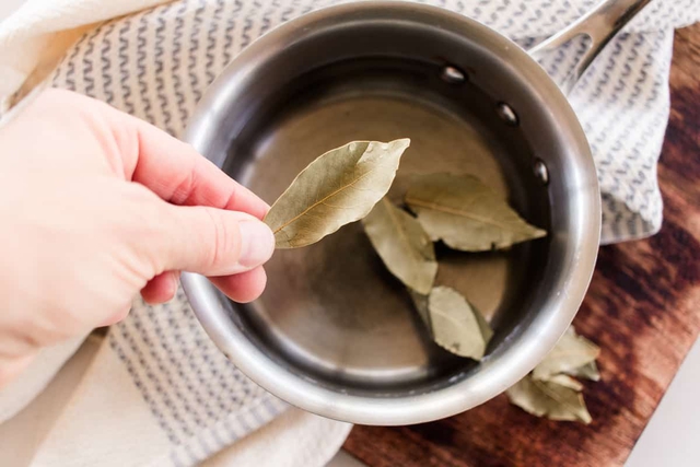Loại lá dân dã ở Việt Nam lại có giá 2 triệu đồng/kg ở Mỹ: Là dược liệu quý, tiềm năng phòng ung thư- Ảnh 2. Loại lá dân dã ở Việt Nam lại có giá 2 triệu đồng/kg ở Mỹ: Là dược liệu quý, tiềm năng phòng ung thư- Ảnh 2.