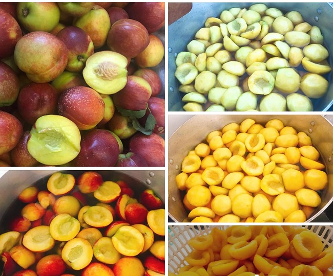 Xin thông báo: Loại quả giàu chất chống oxy hóa đang vào Xin thông báo: Loại quả giàu chất chống oxy hóa đang vào