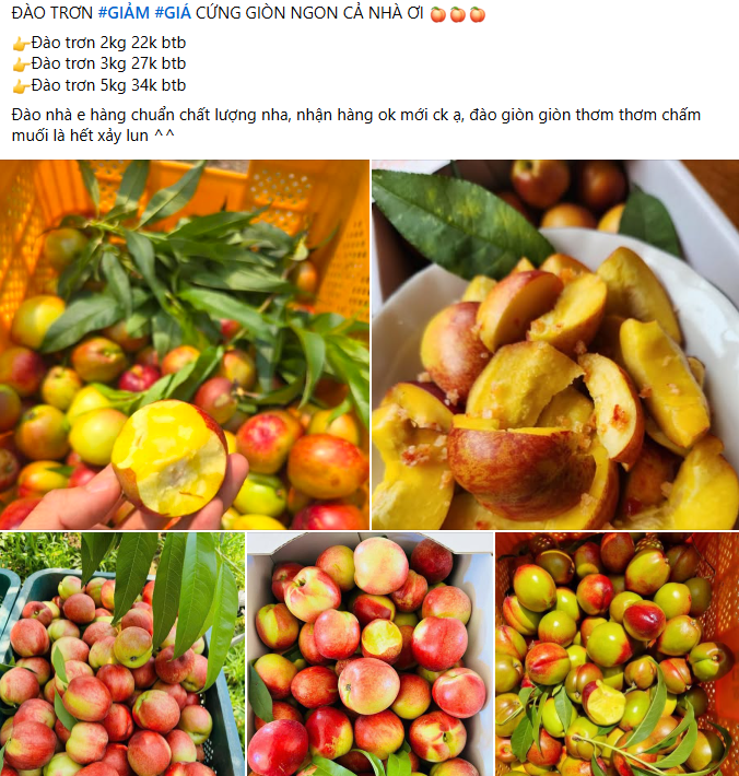 Xin thông báo: Loại quả giàu chất chống oxy hóa đang vào Xin thông báo: Loại quả giàu chất chống oxy hóa đang vào
