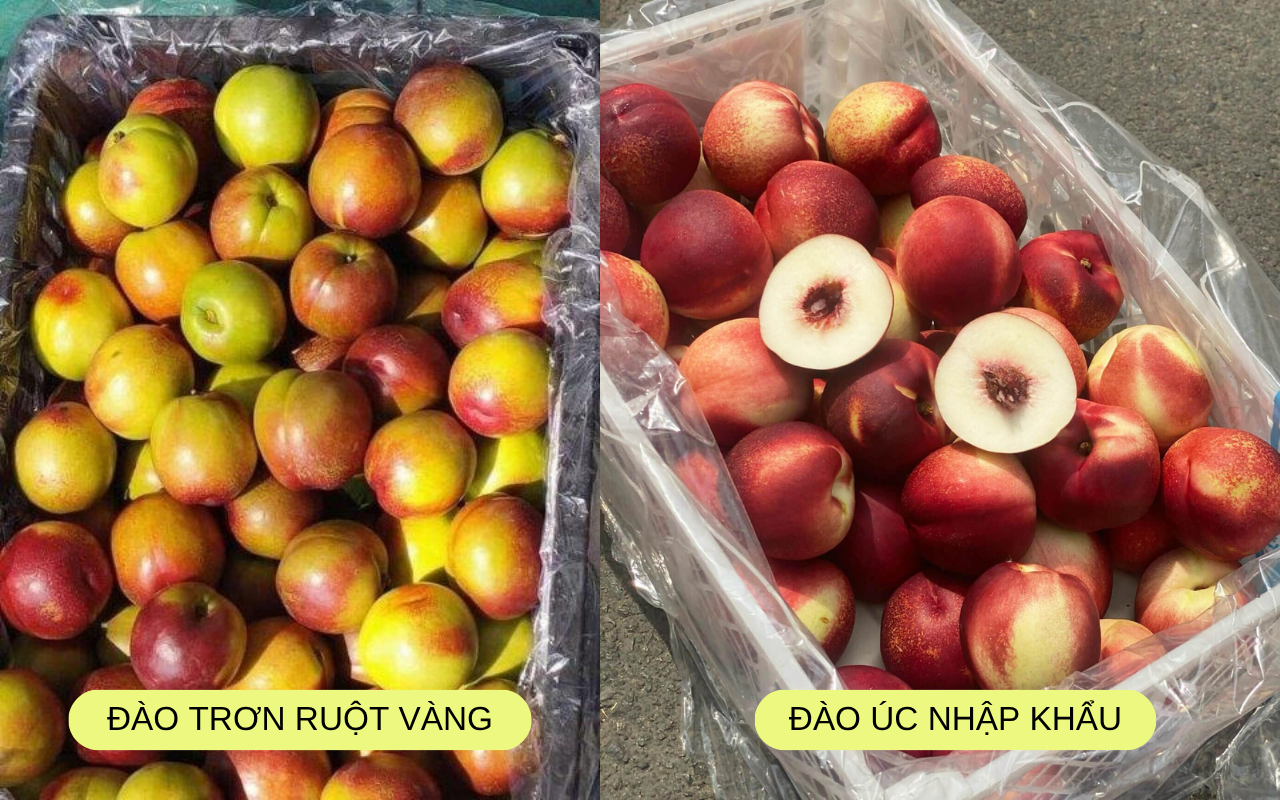 Xin thông báo: Loại quả giàu chất chống oxy hóa đang vào Xin thông báo: Loại quả giàu chất chống oxy hóa đang vào