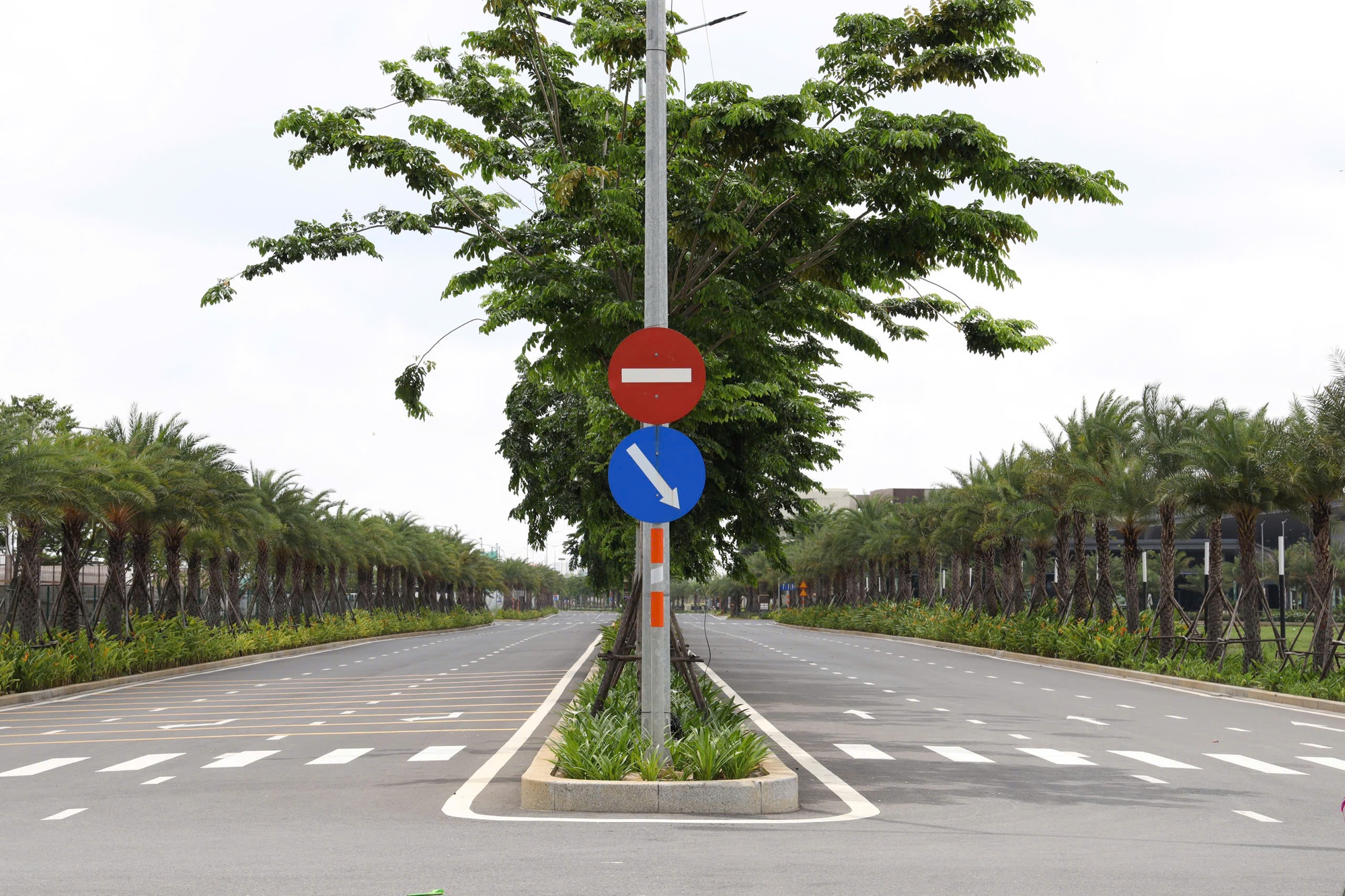 Đường mới "chia lửa" cho nút giao An Phú và khu đông TP HCM- Ảnh 2. Đường mới "chia lửa" cho nút giao An Phú và khu đông TP HCM- Ảnh 2.