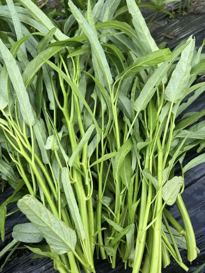 Chuyên gia cảnh báo những loại rau là 'ổ sán', không nên ăn sống- Ảnh 2.