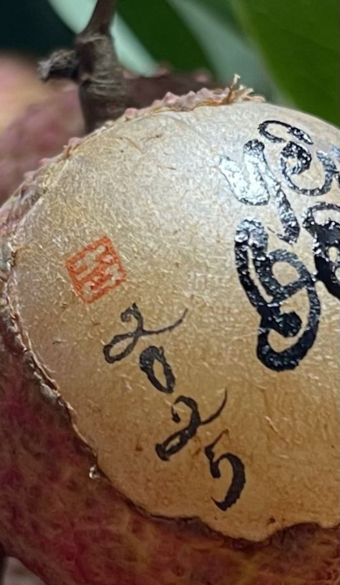Viết thư pháp trên quả vải thiều, chàng trai gen Z Hà Nội gây sốt mạng- Ảnh 7. Viết thư pháp trên quả vải thiều, chàng trai gen Z Hà Nội gây sốt mạng- Ảnh 7.