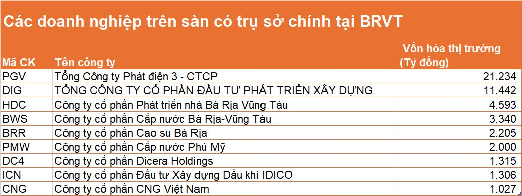 Thế giới di động, Hoa Sen, Tân Hiệp Phát… và loạt DN đình đám tại Bình Dương, Bà Rịa - Vũng Tàu chuyển "hộ khẩu" thành TP.HCM- Ảnh 2.