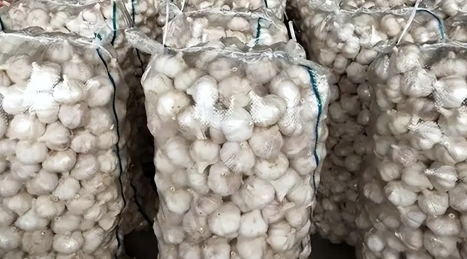 Thương lái chi 6 tỷ đồng mua 500 tấn tỏi gửi kho lạnh chờ bán, 1 năm sau chết lặng khi kho rỗng không, quản lý khẳng định: "Không có hóa đơn xuất kho"- Ảnh 3.