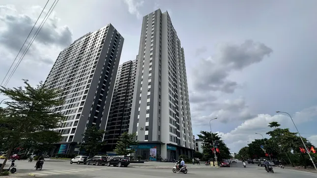 Dự báo giá bất động sản vẫn cao- Ảnh 1.