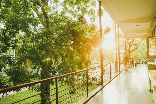 Nếu Mỹ có MIT thì Việt Nam có trường cực đỉnh này: Sở hữu 1001 cái nhất, chất lượng hàng top, đầu vào khó, đầu ra còn... khó hơn- Ảnh 12.