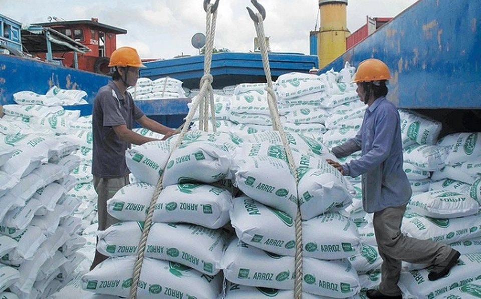 Vượt Thái Lan, Việt Nam sẽ có mặt hàng xuất khẩu top 2 thế giới, chinh phục hơn 150 quốc gia- Ảnh 3. Vượt Thái Lan, Việt Nam sẽ có mặt hàng xuất khẩu top 2 thế giới, chinh phục hơn 150 quốc gia- Ảnh 3.