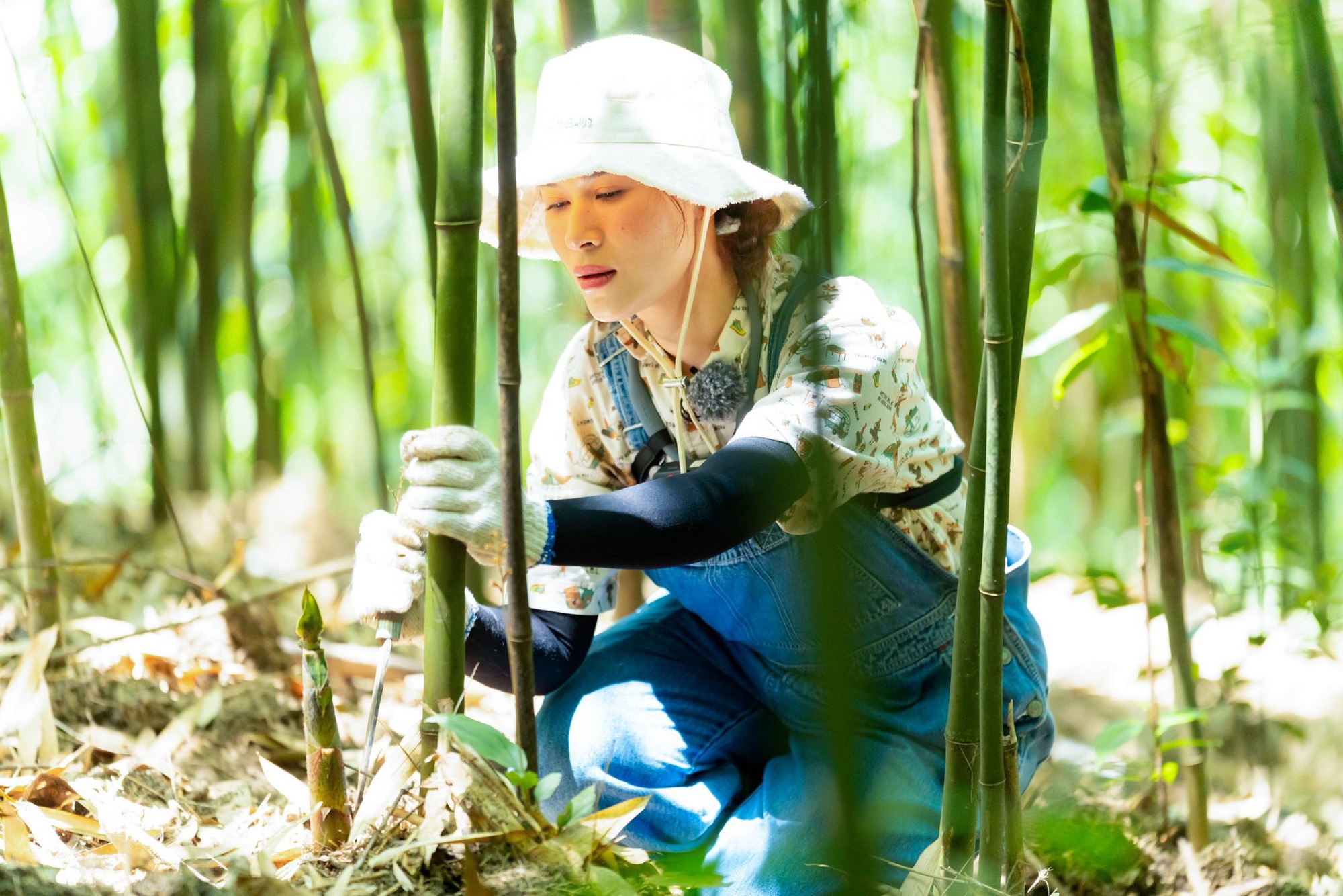Tiểu thư 7000 tỷ Ngọc Thanh Tâm tập gì mà đi cày hùng hục, làm nông khỏe re trong Tiểu thư 7000 tỷ Ngọc Thanh Tâm tập gì mà đi cày hùng hục, làm nông khỏe re trong