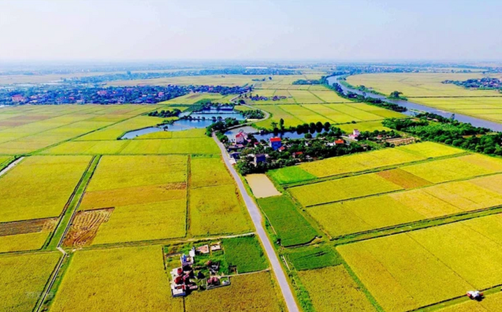 Chuyển đất nông nghiệp sang đất ở: Hoảng hốt tiền sử dụng đất cao đột biến- Ảnh 1. Chuyển đất nông nghiệp sang đất ở: Hoảng hốt tiền sử dụng đất cao đột biến- Ảnh 1.