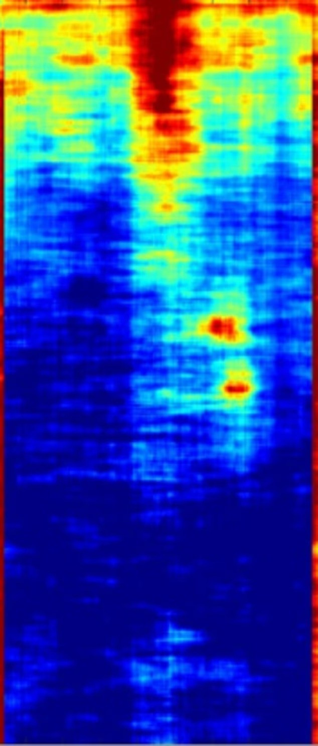 Phát hiện chấn động dưới tượng Nhân sư: Hé lộ thành phố ngầm bị chôn vùi?- Ảnh 1.