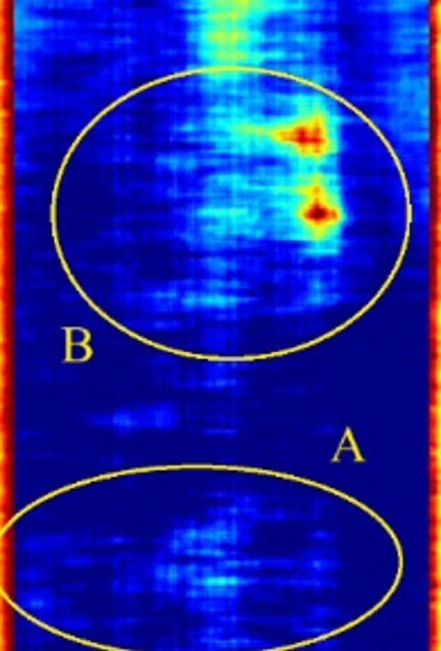 Phát hiện chấn động dưới tượng Nhân sư: Hé lộ thành phố ngầm bị chôn vùi?- Ảnh 2.