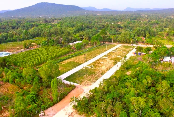 Chuyển đất nông nghiệp sang đất ở: Hoảng hốt tiền sử dụng đất cao đột biến- Ảnh 2. Chuyển đất nông nghiệp sang đất ở: Hoảng hốt tiền sử dụng đất cao đột biến- Ảnh 2.