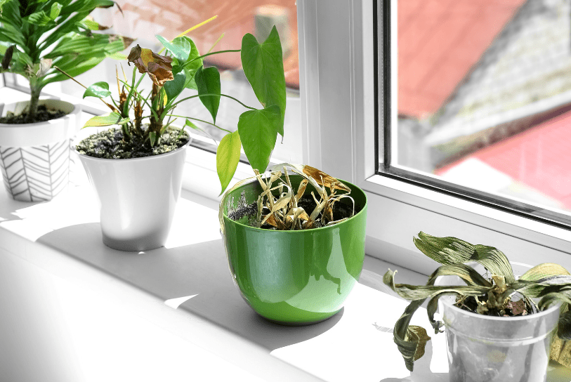 Tiền không vào nhà bẩn, phúc không dưỡng người dơ - Lười đến mấy cũng phải VỨT 4 thứ này đi!- Ảnh 4. Tiền không vào nhà bẩn, phúc không dưỡng người dơ - Lười đến mấy cũng phải VỨT 4 thứ này đi!- Ảnh 4.